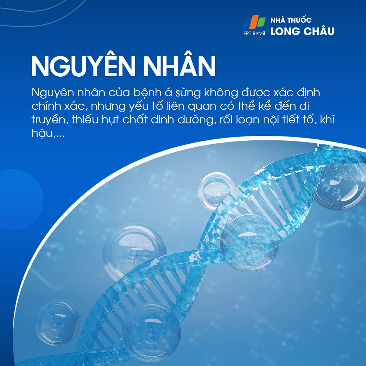 Hình ảnh minh họa