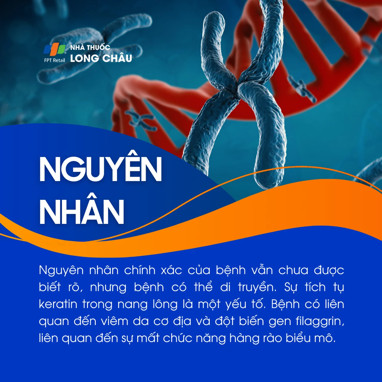 Hình ảnh minh họa