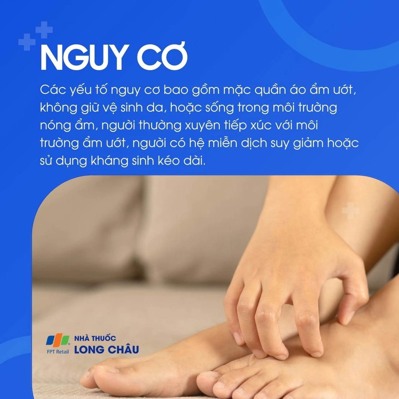 Hình ảnh minh họa