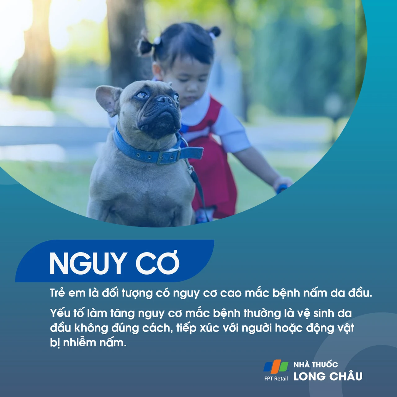 Hình ảnh minh họa