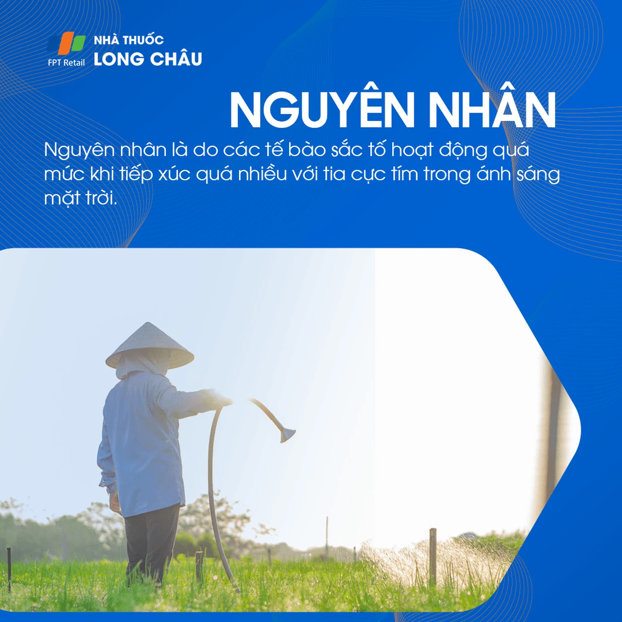 Hình ảnh minh họa