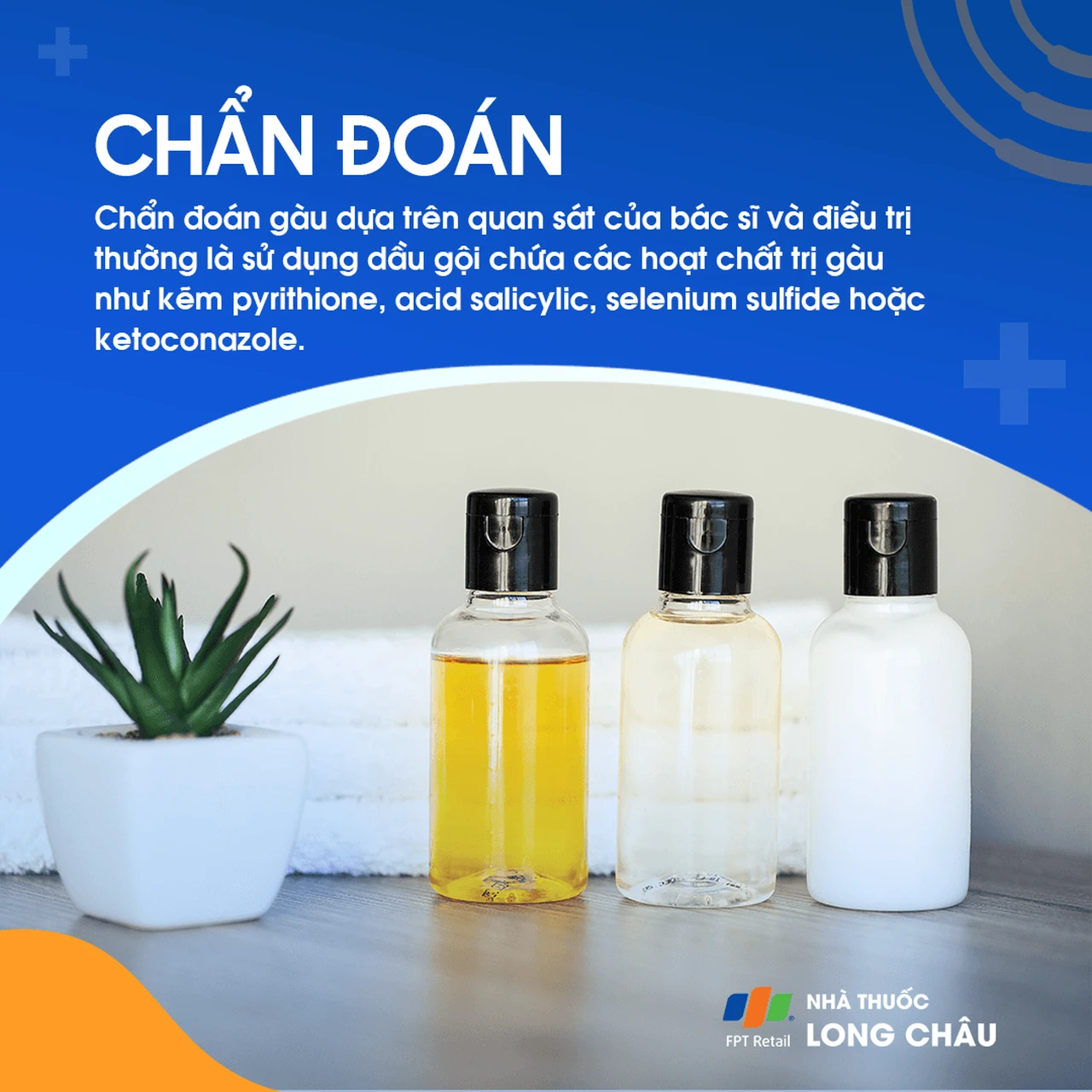 Hình ảnh minh họa
