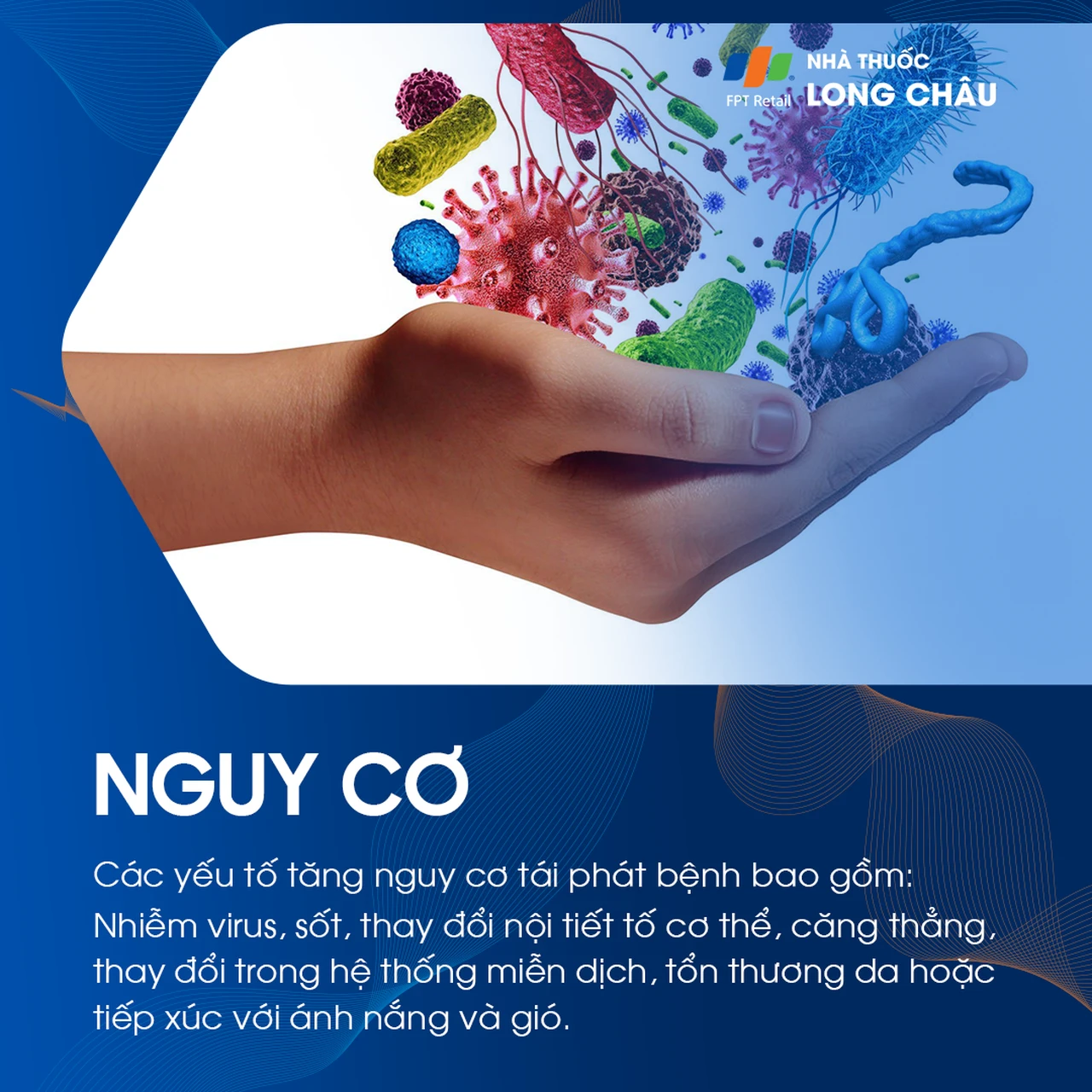 Hình ảnh minh họa