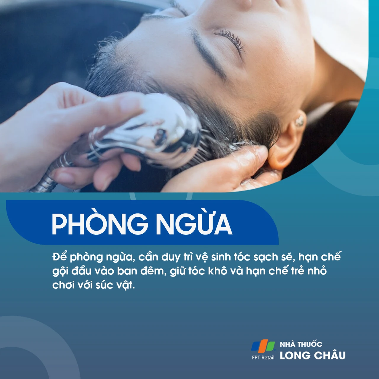 Hình ảnh minh họa