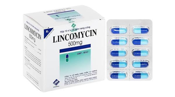 Lincomycin 500mg Vidipha (Hộp 10 vỉ x 10 viên)
